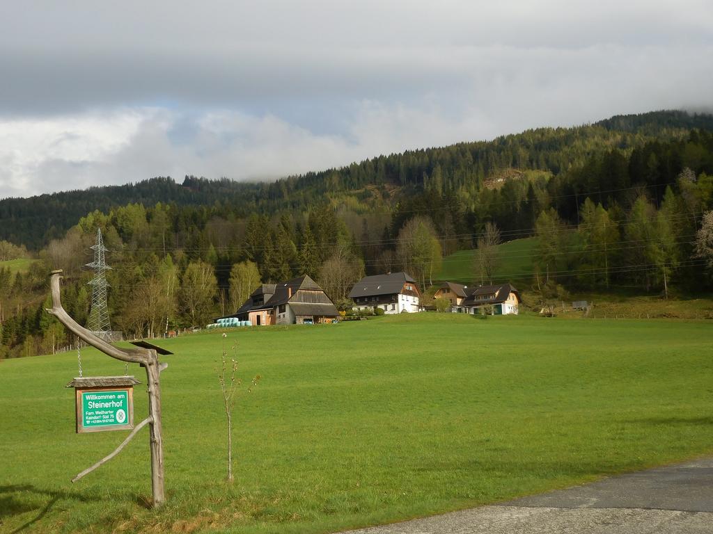Vila Steinerhof Sankt Georgen ob Murau Exteriér fotografie